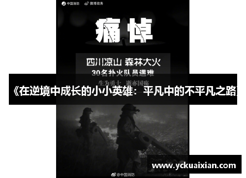《在逆境中成长的小小英雄：平凡中的不平凡之路》